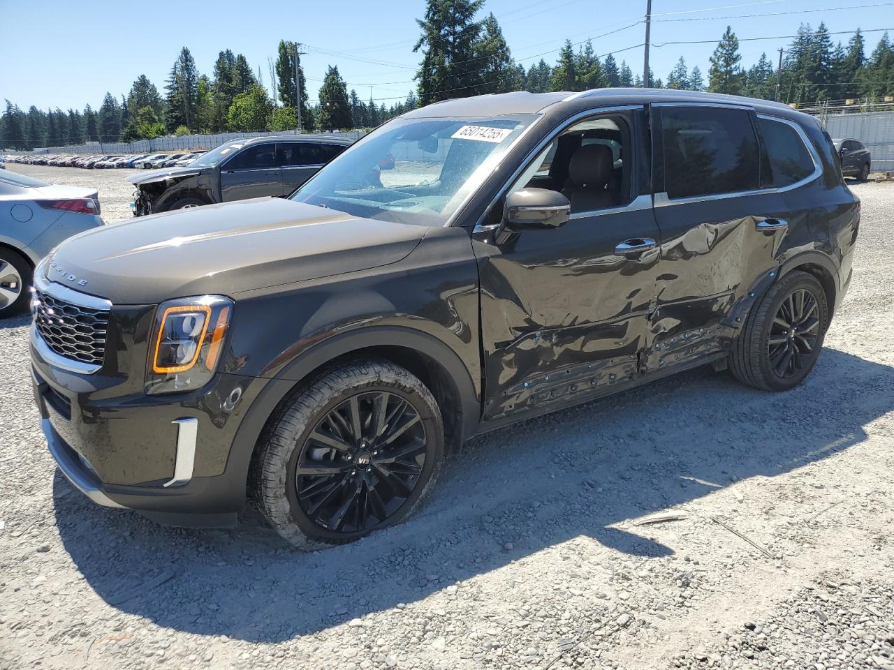 2020 Kia Telluride Sx