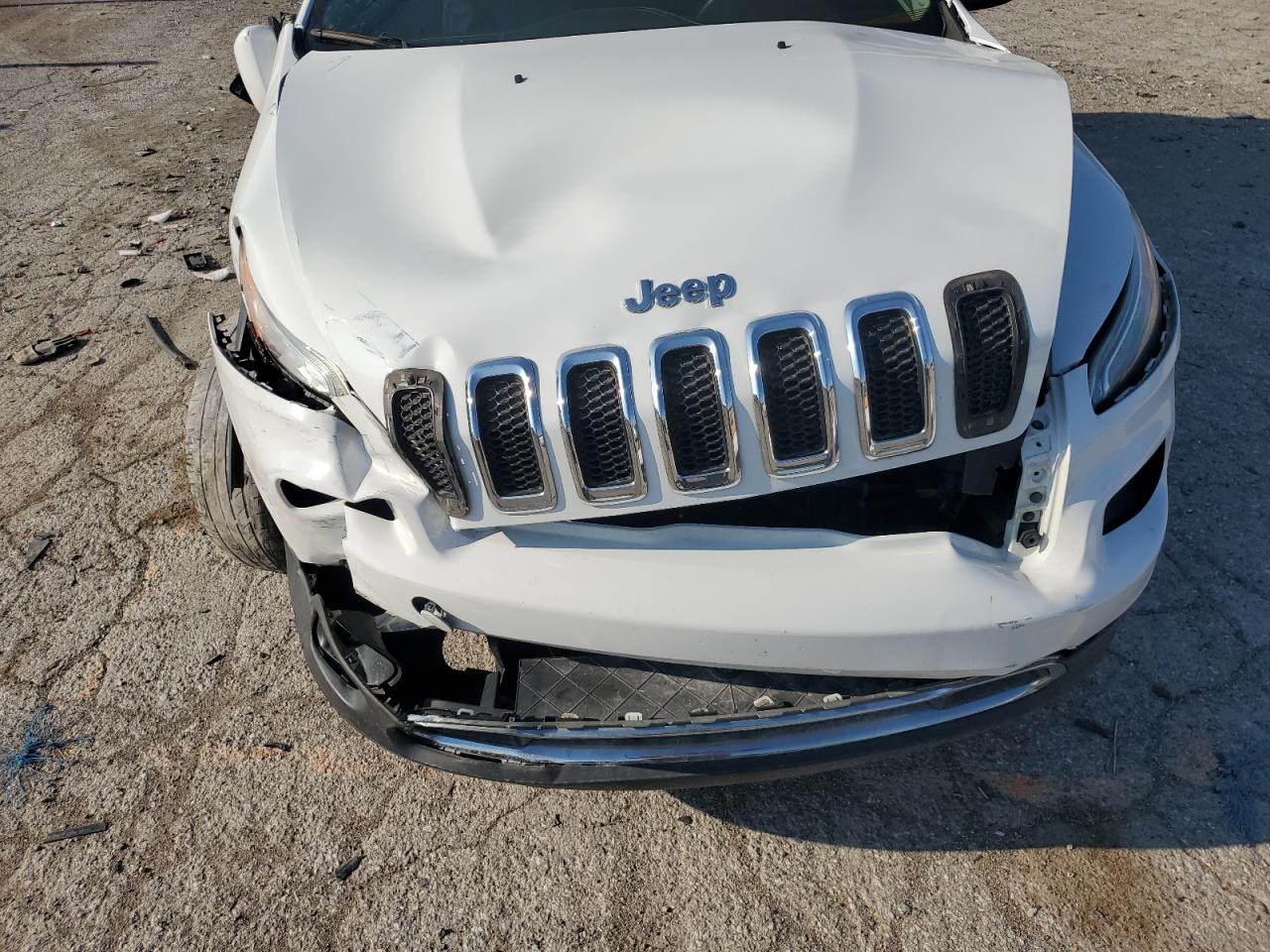 2014 Jeep Cherokee Limited VIN: 1C4PJMDB1EW169205 Lot: 62843635