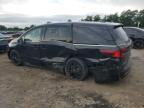 2025 HONDA ODYSSEY SPORT-L   for sale at Copart MD - BALTIMORE EAST
