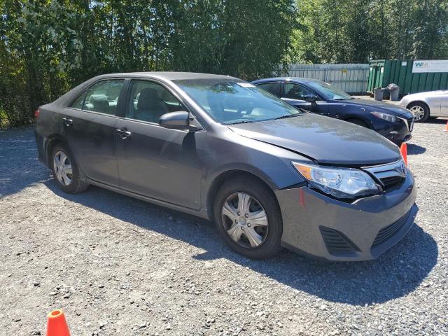  TOYOTA CAMRY 2014 Charcoal