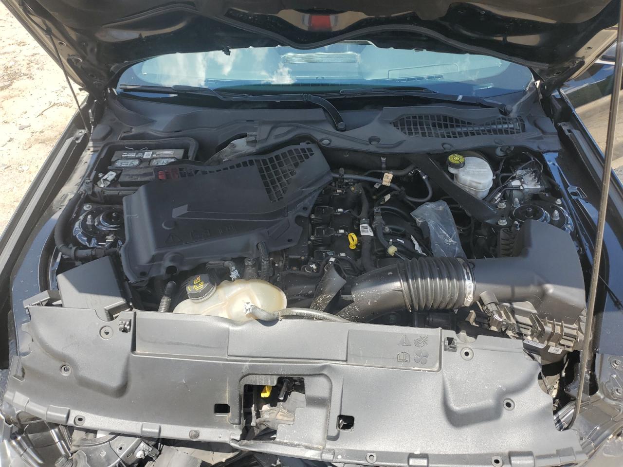 2021 Ford Mustang VIN: 1FATP8UH6M5120665 Lot: 66462845