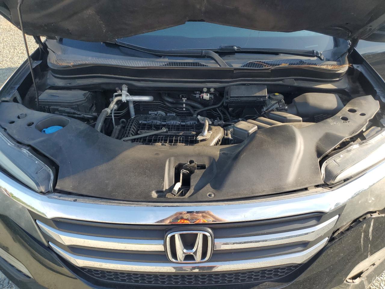 2018 Honda Pilot Exl VIN: 5FNYF5H57JB008209 Lot: 65499555