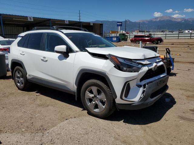  TOYOTA RAV4 2024 Белы