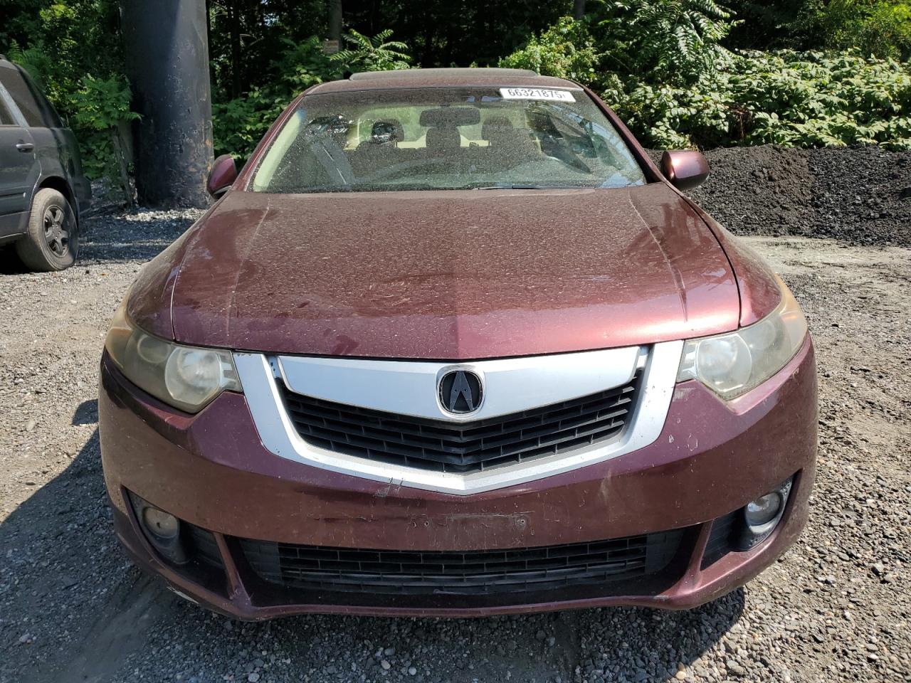 jh4cu26629c011262 JH4CU26629C011262 2009 Acura Tsx