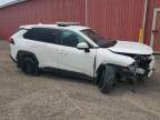 2022 TOYOTA RAV4 LE   à vendre chez Copart ON - LONDON