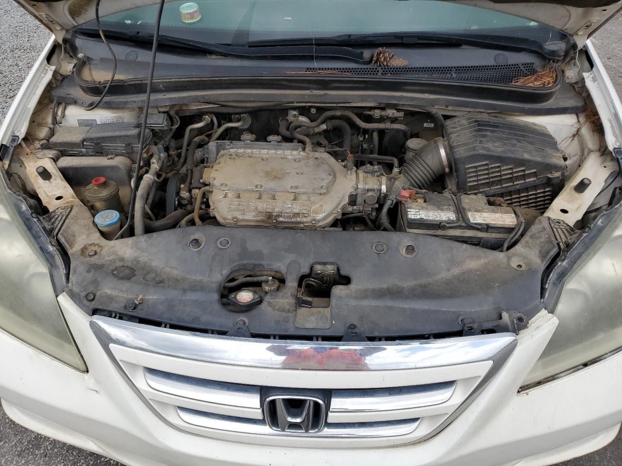2006 Honda Odyssey Exl VIN: 5FNRL38736B457235 Lot: 64974315