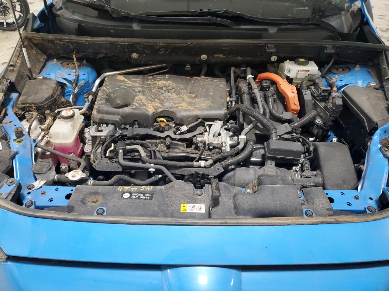 2020 Toyota Rav4 Xle VIN: 2T3RWRFV8LW093833 Lot: 66152695