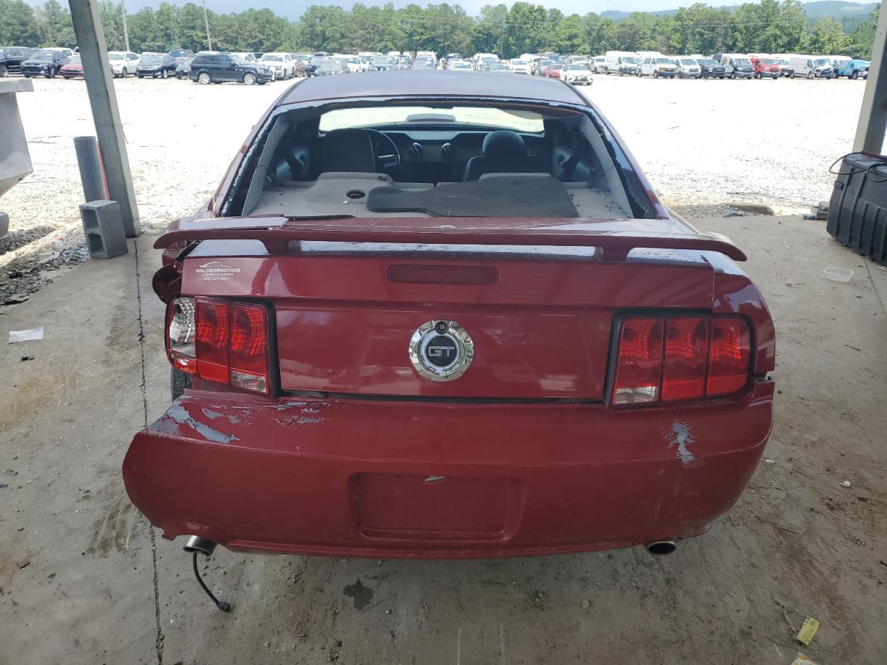 2008 Ford Mustang Gt VIN: 1ZVHT82H585106144 Lot: 62477225
