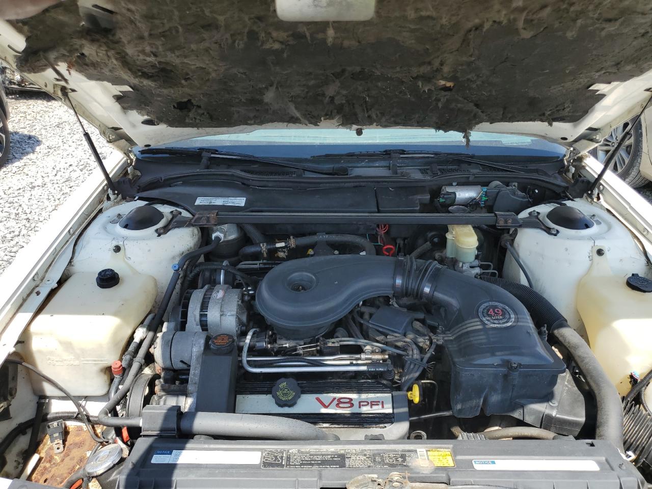 1993 Cadillac Deville VIN: 1G6CD53B2P4245982 Lot: 65791555