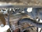 2019 YAMAHA TW200 C   for sale at Copart AZ - PHOENIX