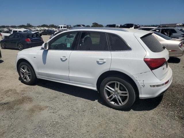 Parquets AUDI Q5 2013 White