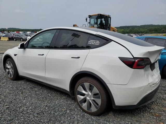  TESLA MODEL Y 2021 White