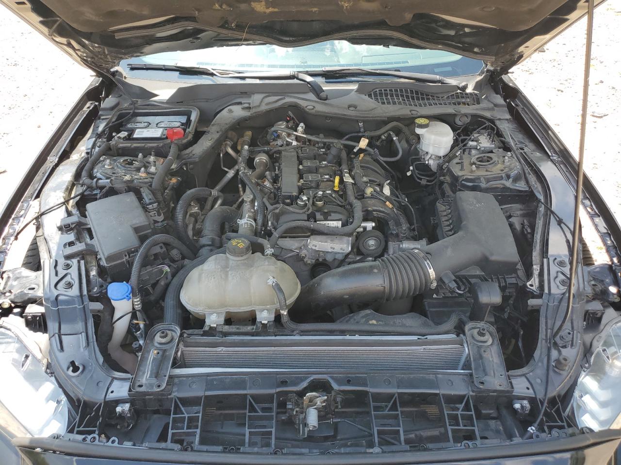 2022 Ford Mustang VIN: 1FA6P8TH0N5111279 Lot: 64732645