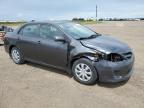 2013 TOYOTA COROLLA BASE   à vendre chez Copart AB - CALGARY