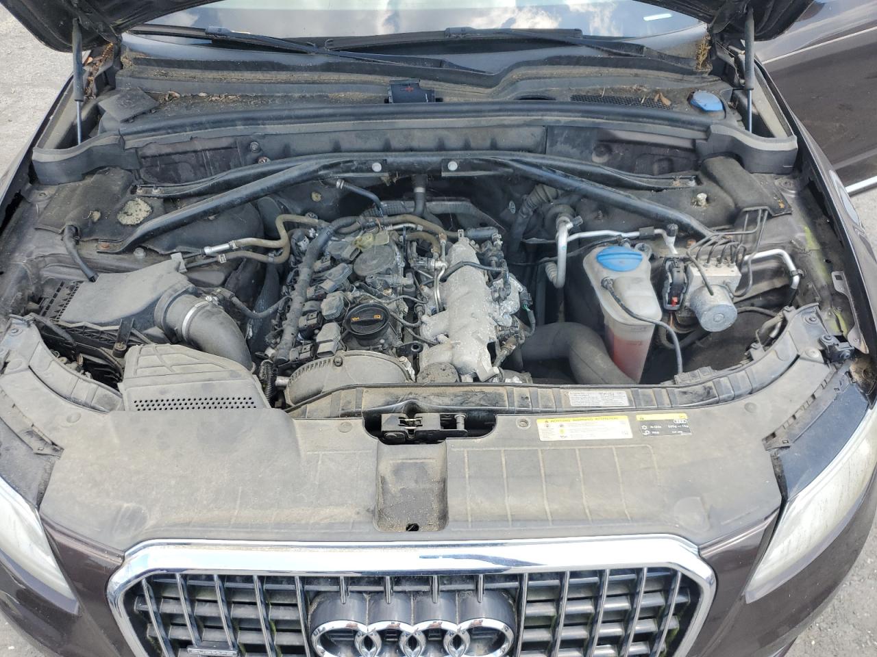 2013 Audi Q5 Premium Plus VIN: WA1LFAFP0DA066001 Lot: 63902405