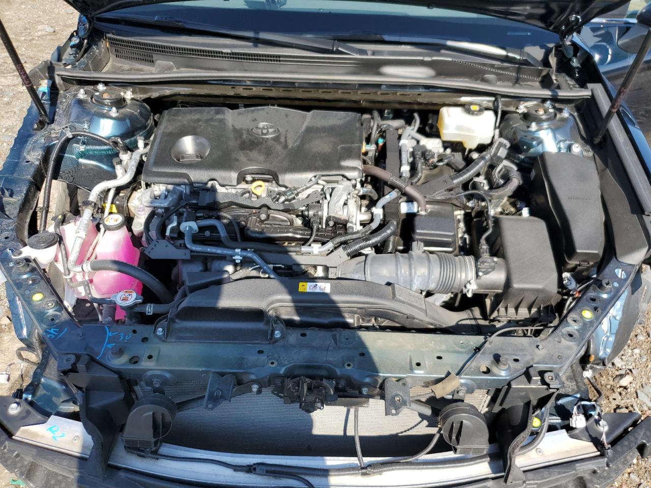 2019 Toyota Camry Le VIN: 4T1B31HK4KU008346 Lot: 66440705