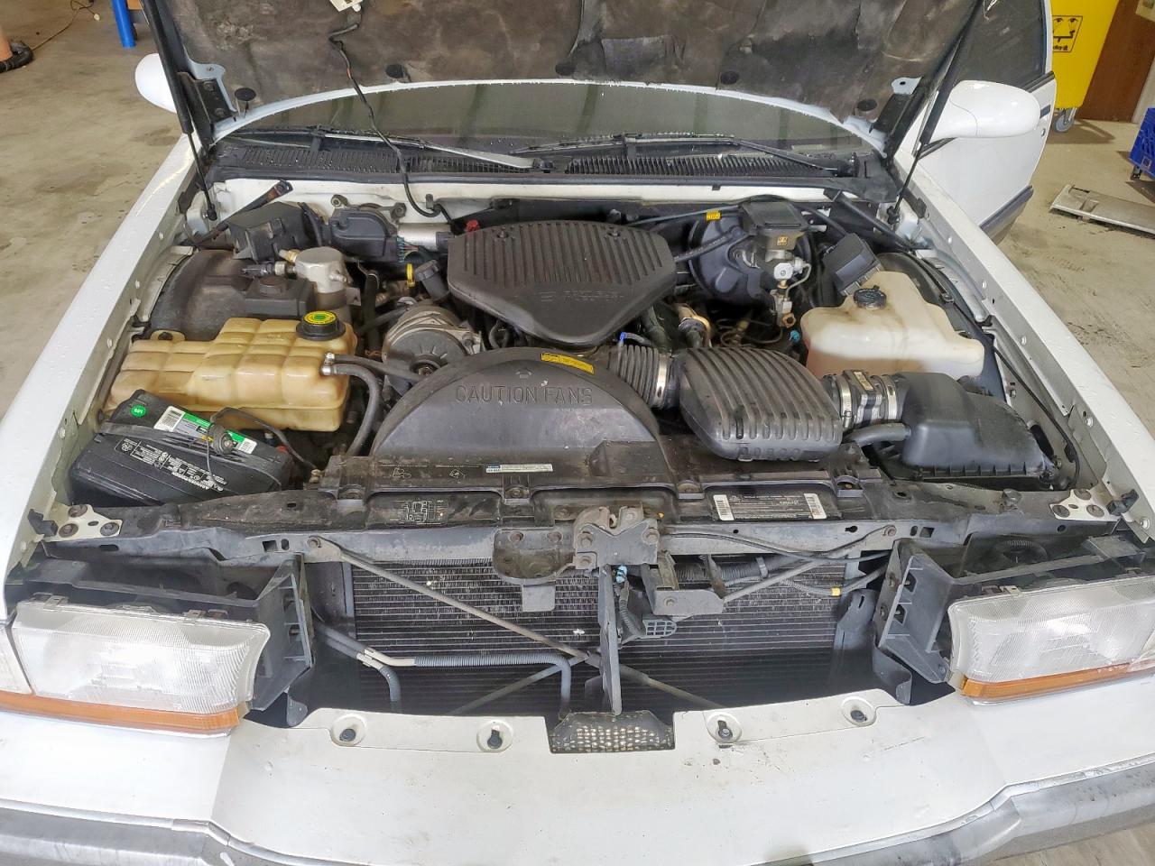 1995 Buick Roadmaster Limited VIN: 1G4BT52P9SR404822 Lot: 64135235