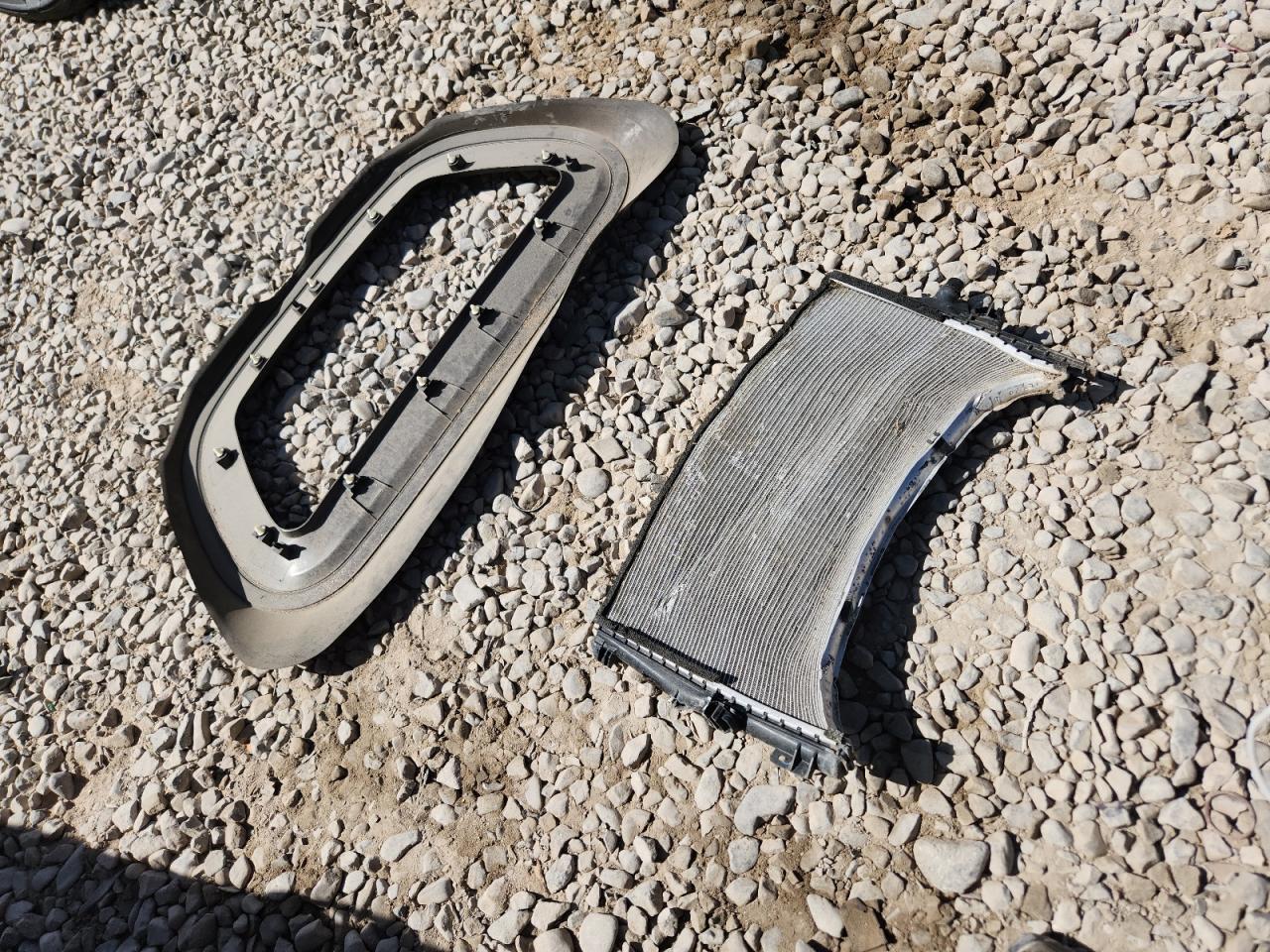 2024 Tesla Model Y VIN: 7SAYGDEF2RF023350 Lot: 62066885