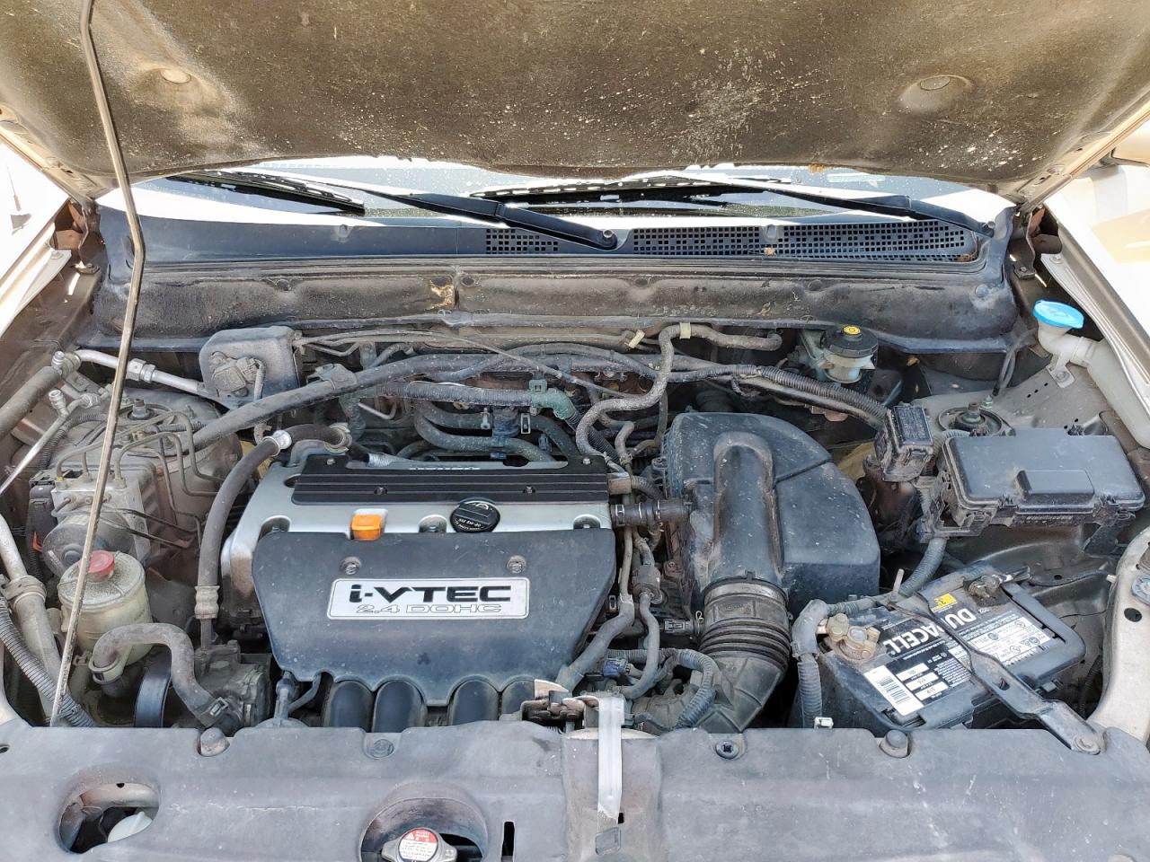 2006 Honda Cr-V Ex VIN: JHLRD78826C061875 Lot: 65086465