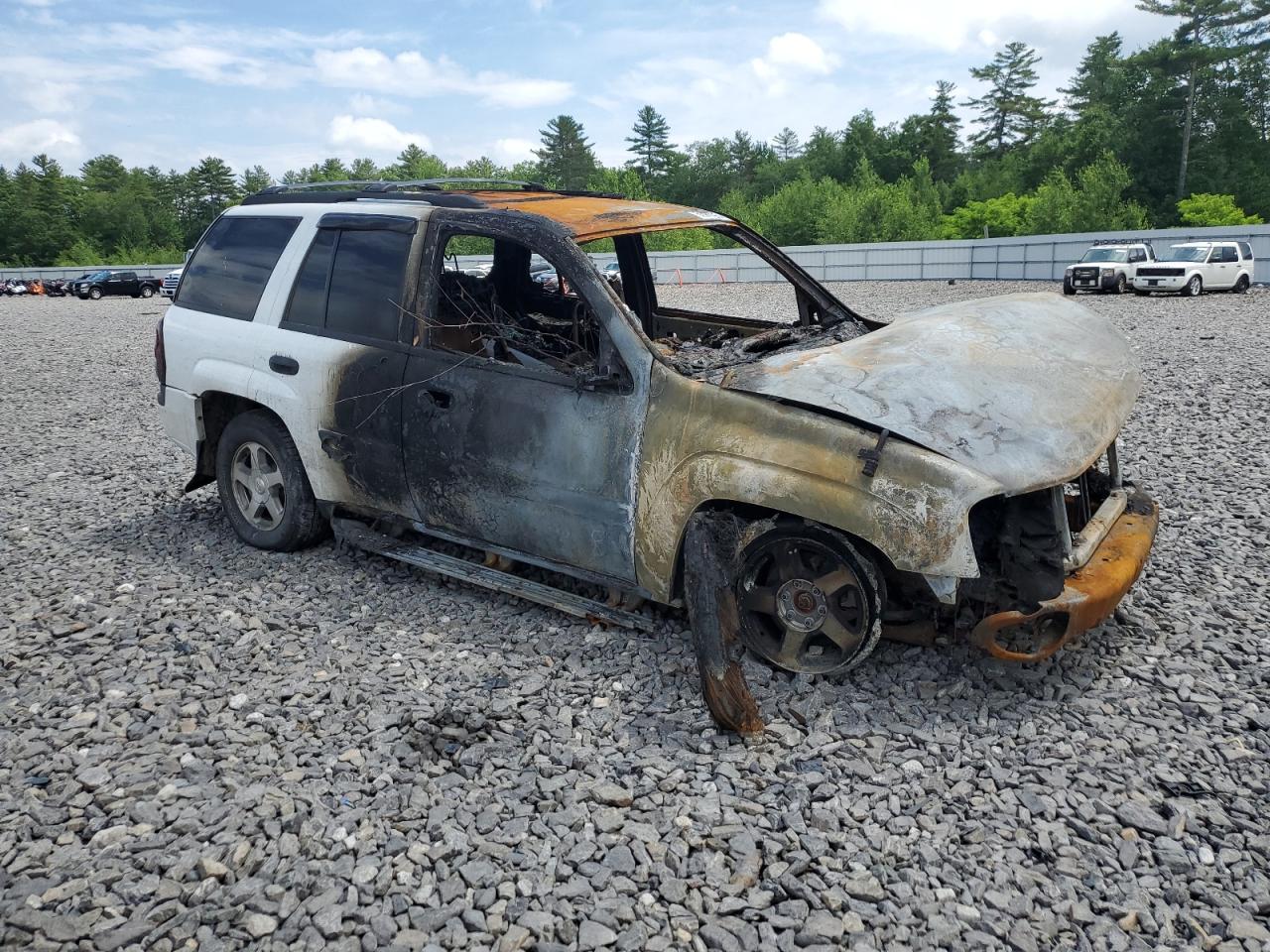 2004 Chevrolet Trailblazer Ls VIN: 1GNDT13S642159697 Lot: 62810295