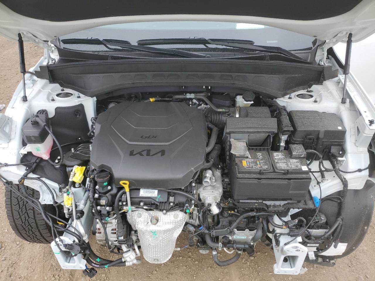 2025 Kia Telluride Sx VIN: 5XYP5DGC2SG592862 Lot: 64820995