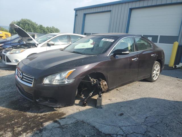  NISSAN MAXIMA 2012 Purple