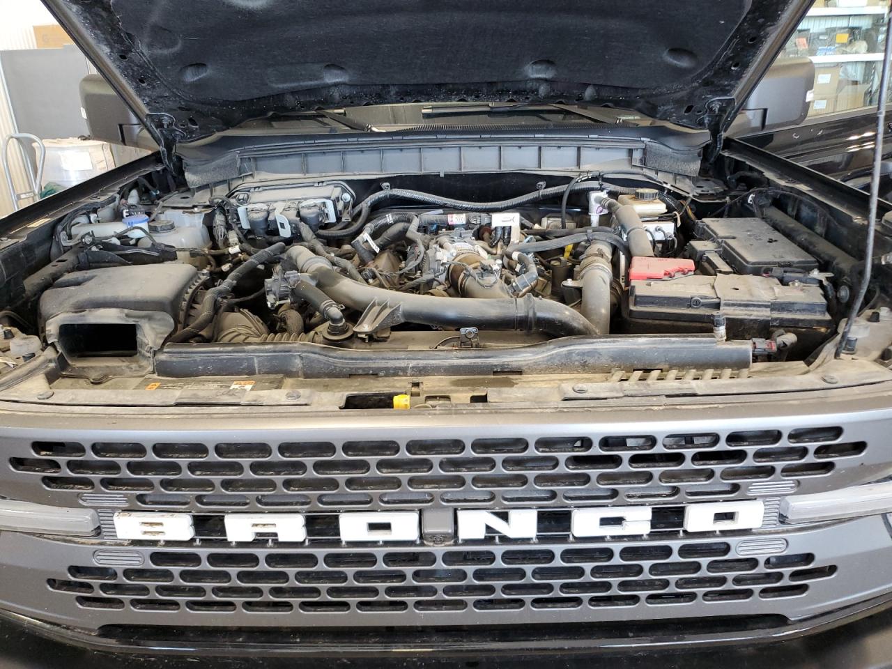2023 Ford Bronco Base VIN: 1FMEE5DP3PLB16020 Lot: 62725195