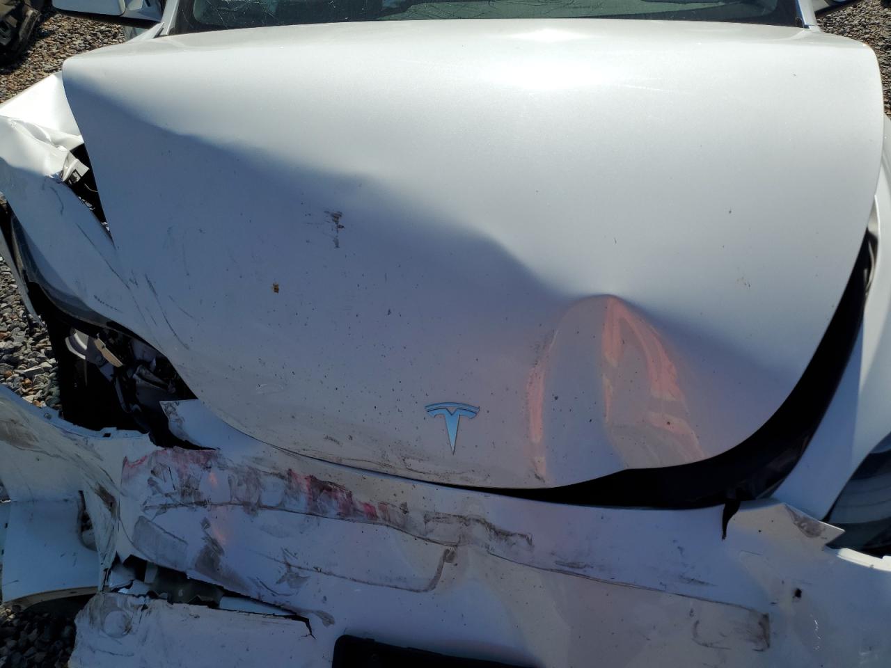 2023 Tesla Model Y VIN: 7SAYGDEE8PF754451 Lot: 64688445