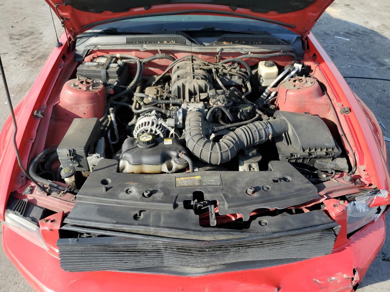 2007 Ford Mustang VIN: 1ZVFT80N775361103 Lot: 65332575