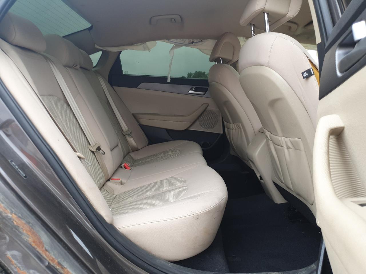 2017 Hyundai Sonata Se VIN: 5NPE24AF4HH438979 Lot: 65024905