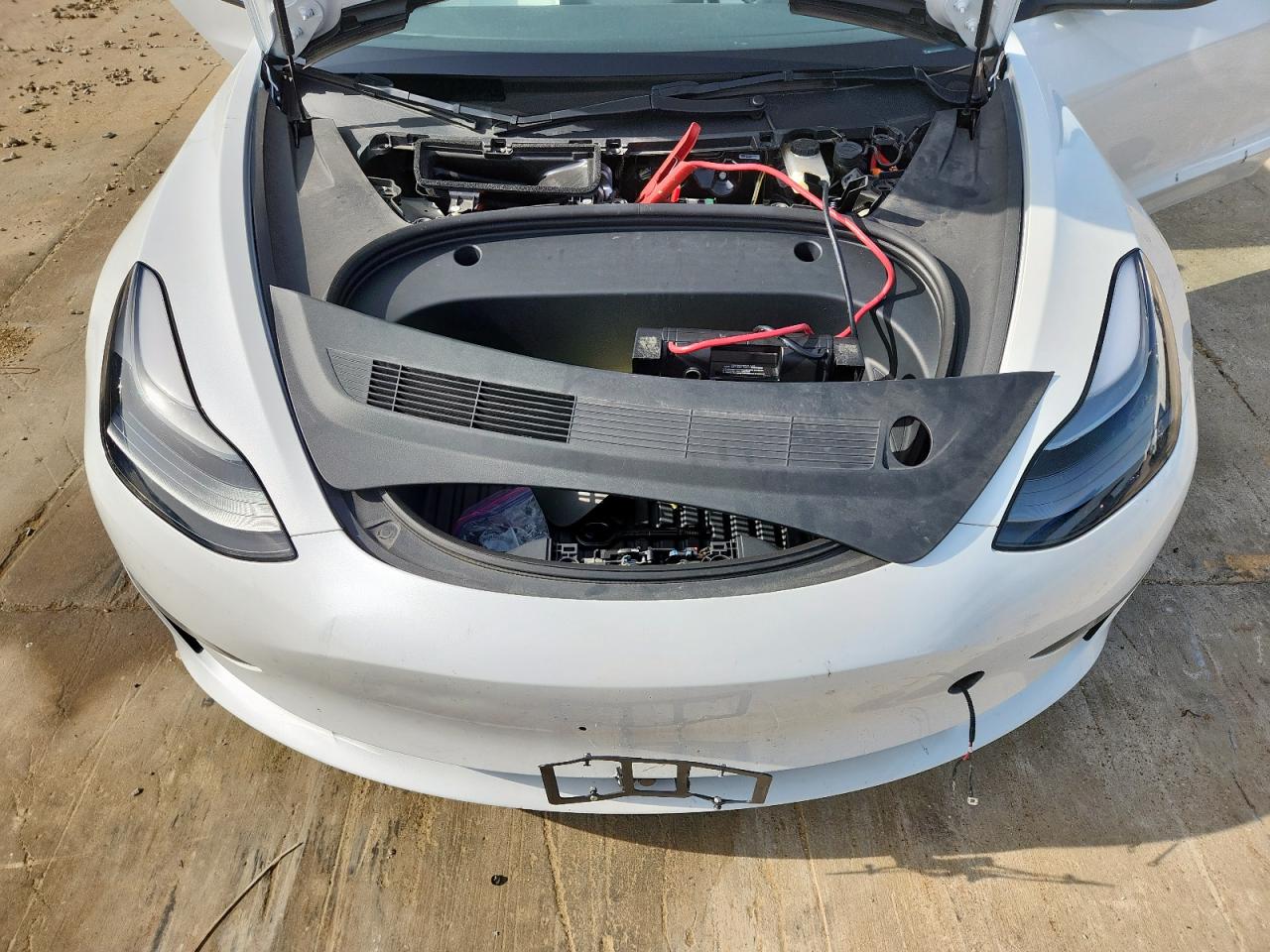 2023 Tesla Model 3 VIN: 5YJ3E1EA1PF479806 Lot: 64216705