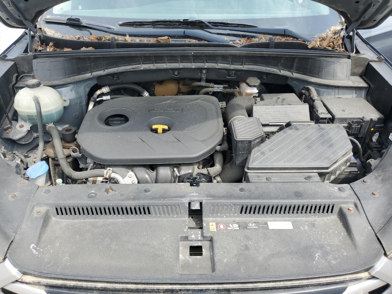 2017 Hyundai Tucson Limited VIN: KM8J33A44HU510205 Lot: 64965715