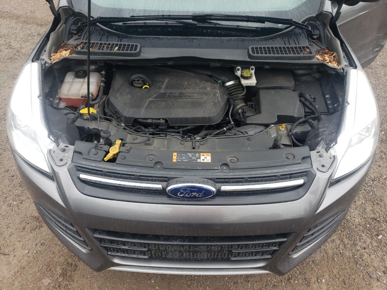 2014 Ford Escape Se VIN: 1FMCU0GX7EUC95159 Lot: 64842145