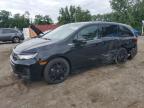 2025 HONDA ODYSSEY SPORT-L   for sale at Copart MD - BALTIMORE EAST