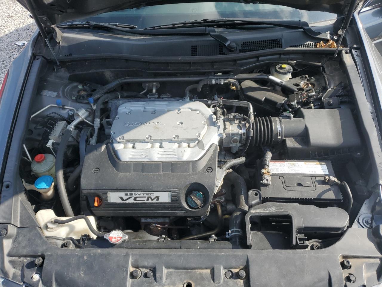 2010 Honda Accord Exl VIN: 1HGCP3F80AA012931 Lot: 64323115