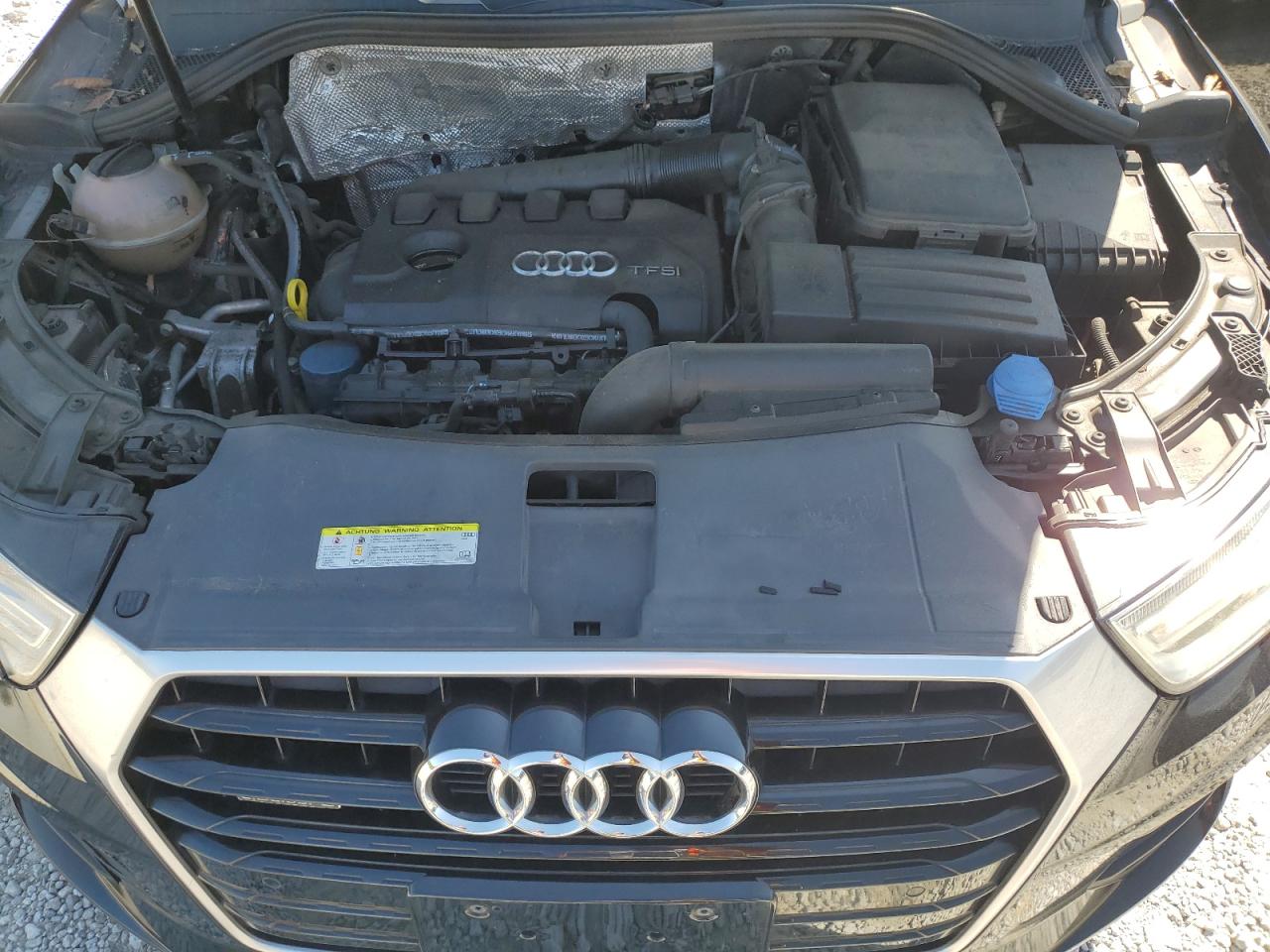 2016 Audi Q3 Premium Plus VIN: WA1EFCFS7GR018008 Lot: 64405695
