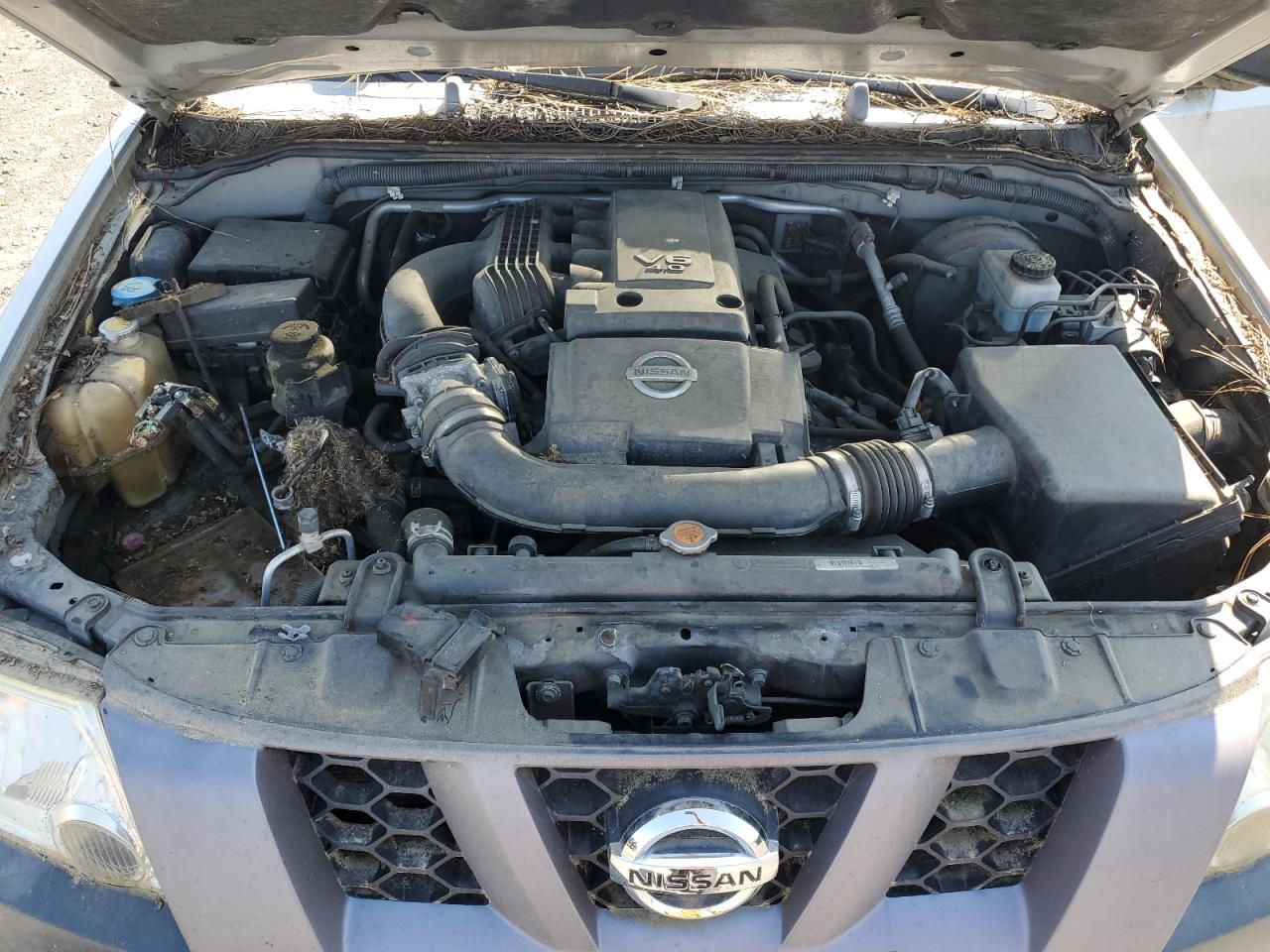 5n1an08wx5c655167 5N1AN08WX5C655167 2005 Nissan Xterra Off Road