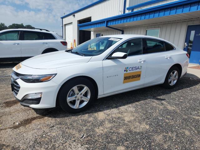  CHEVROLET MALIBU 2024 Biały