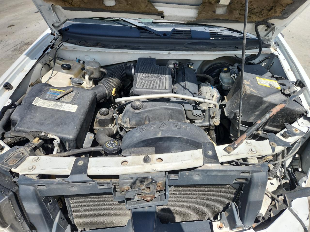 2003 Chevrolet Trailblazer VIN: 1GNDS13S732343581 Lot: 63778975