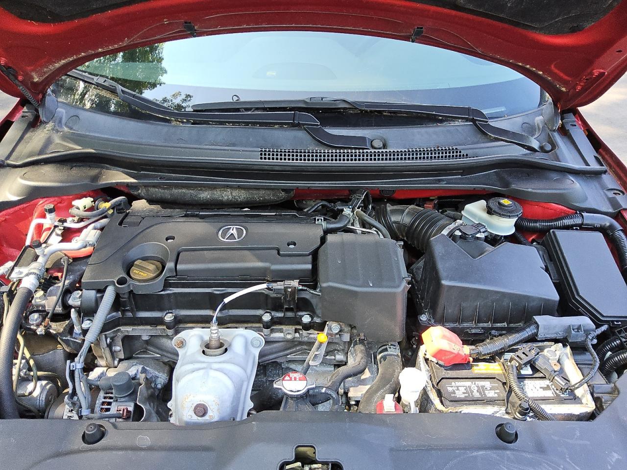 2019 Acura Ilx VIN: 19UDE2F39KA008600 Lot: 65552995