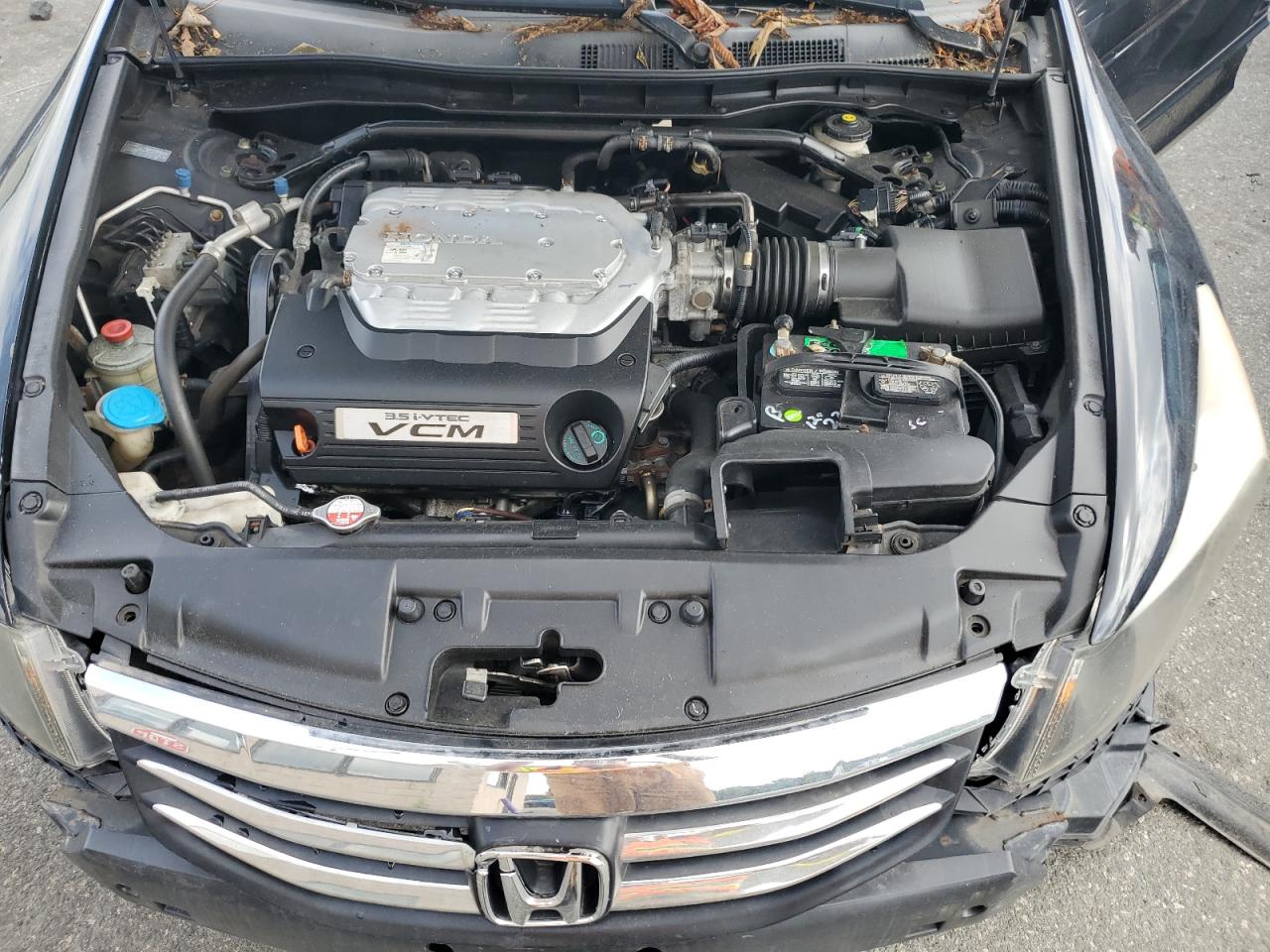 2010 Honda Accord Exl VIN: 5KBCP3F81AB010094 Lot: 63681305