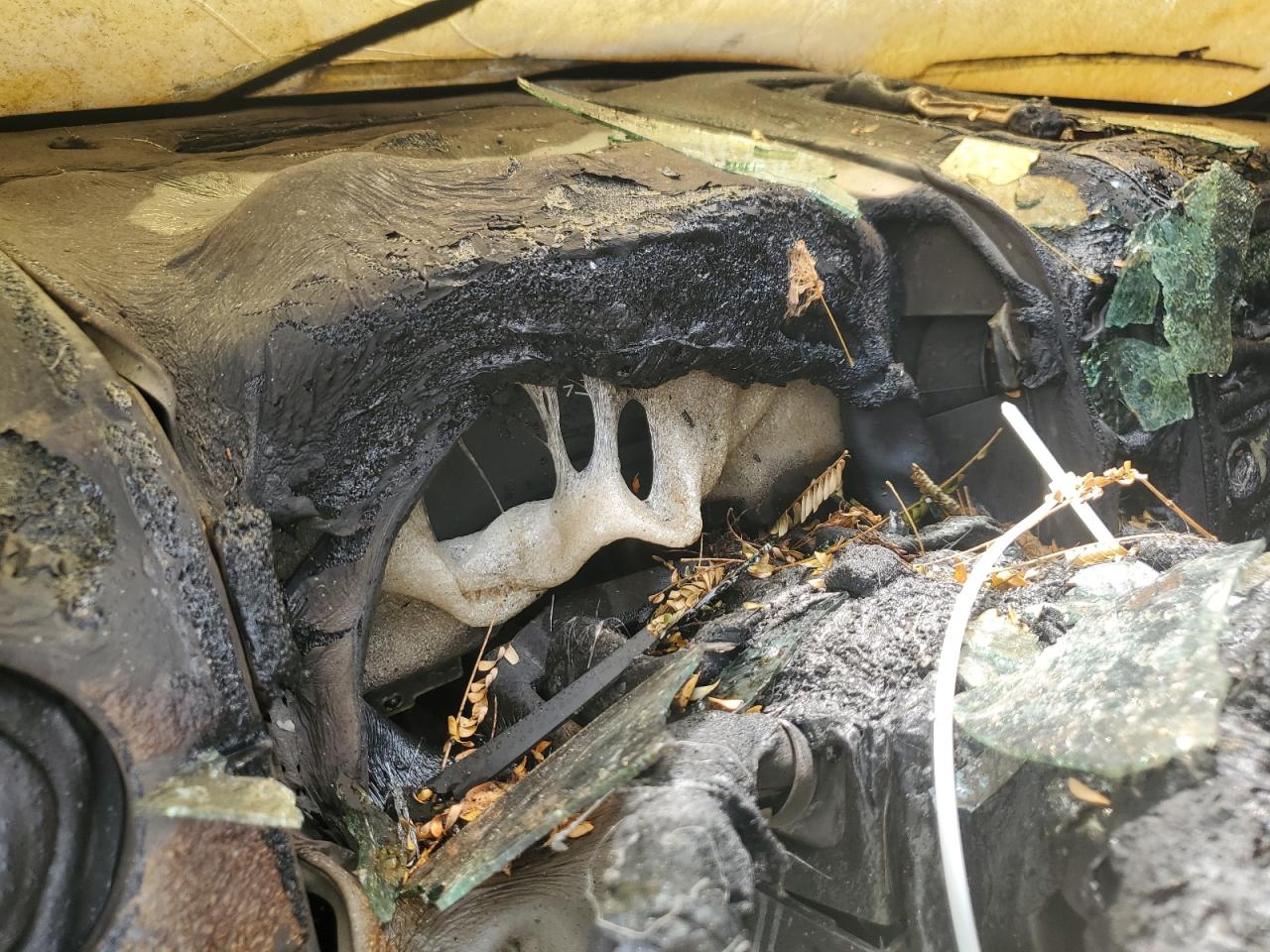 2005 Ford F150 VIN: 1FTRF122X5NB46796 Lot: 66045835