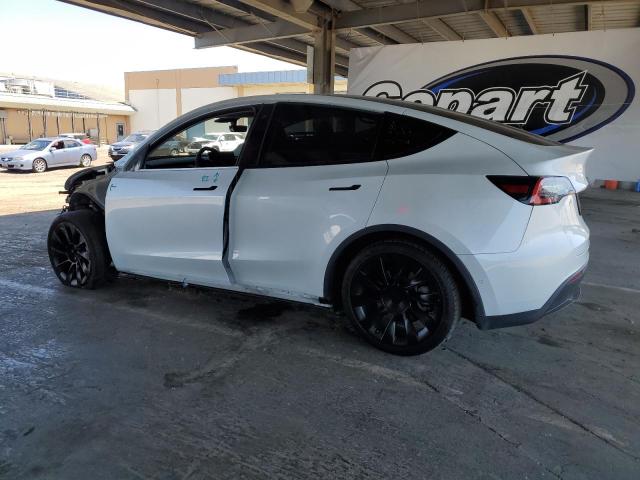 TESLA MODEL Y 2020 Biały