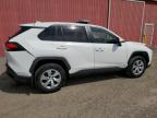 2024 TOYOTA RAV4 LE   à vendre chez Copart ON - LONDON