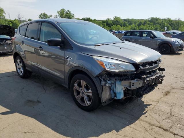  FORD ESCAPE 2014 Gray