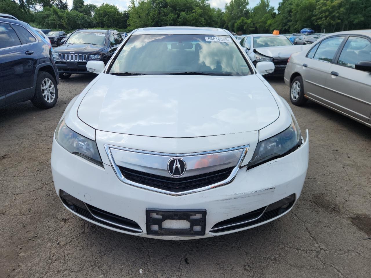 19uua8f38ea000488 19UUA8F38EA000488 2014 Acura Tl Se