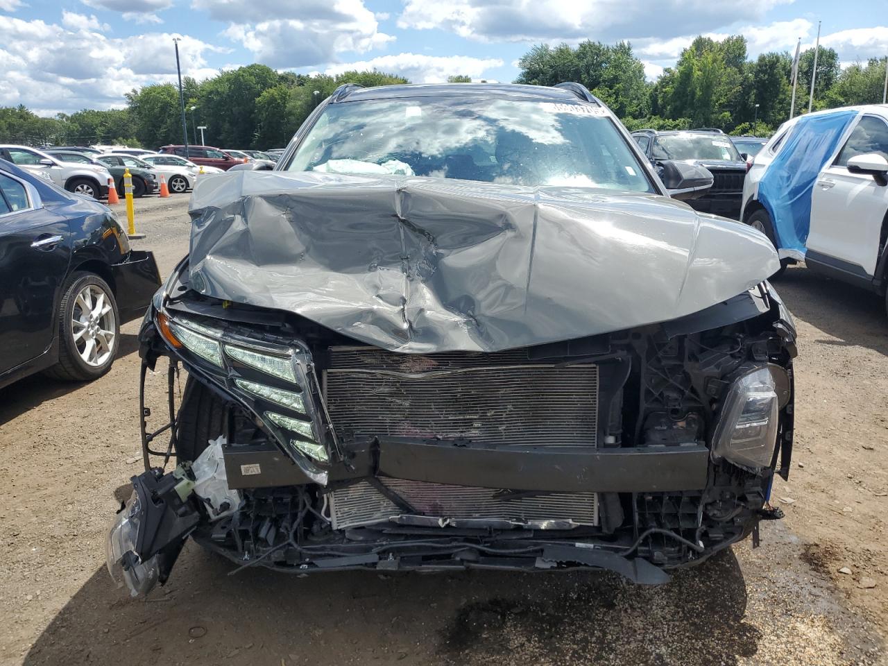 2024 Hyundai Tucson Limited VIN: 5NMJECDE2RH361286 Lot: 65903705