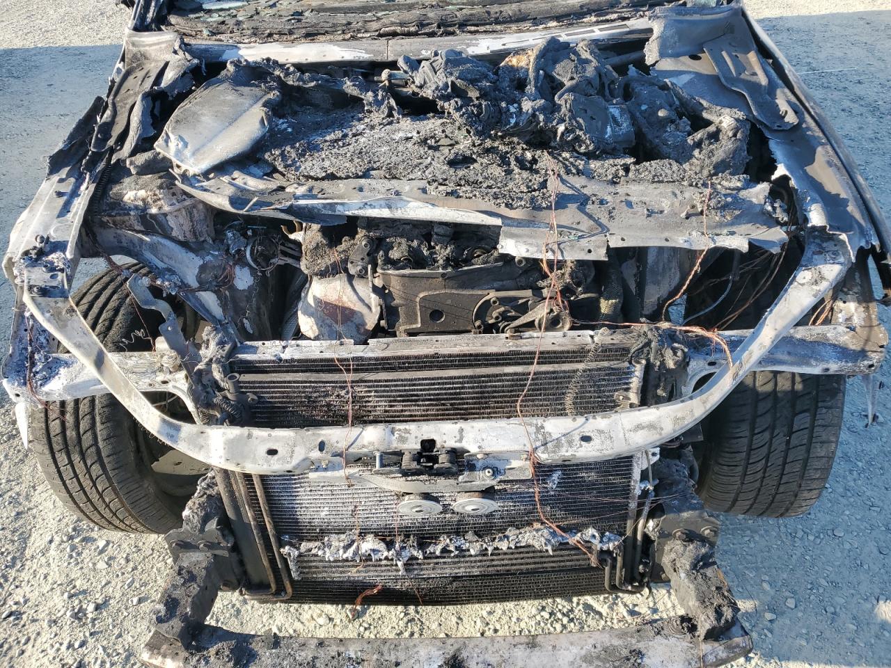 2007 Audi Q7 3.6 Quattro Premium VIN: WA1BY74L17D055309 Lot: 66734455