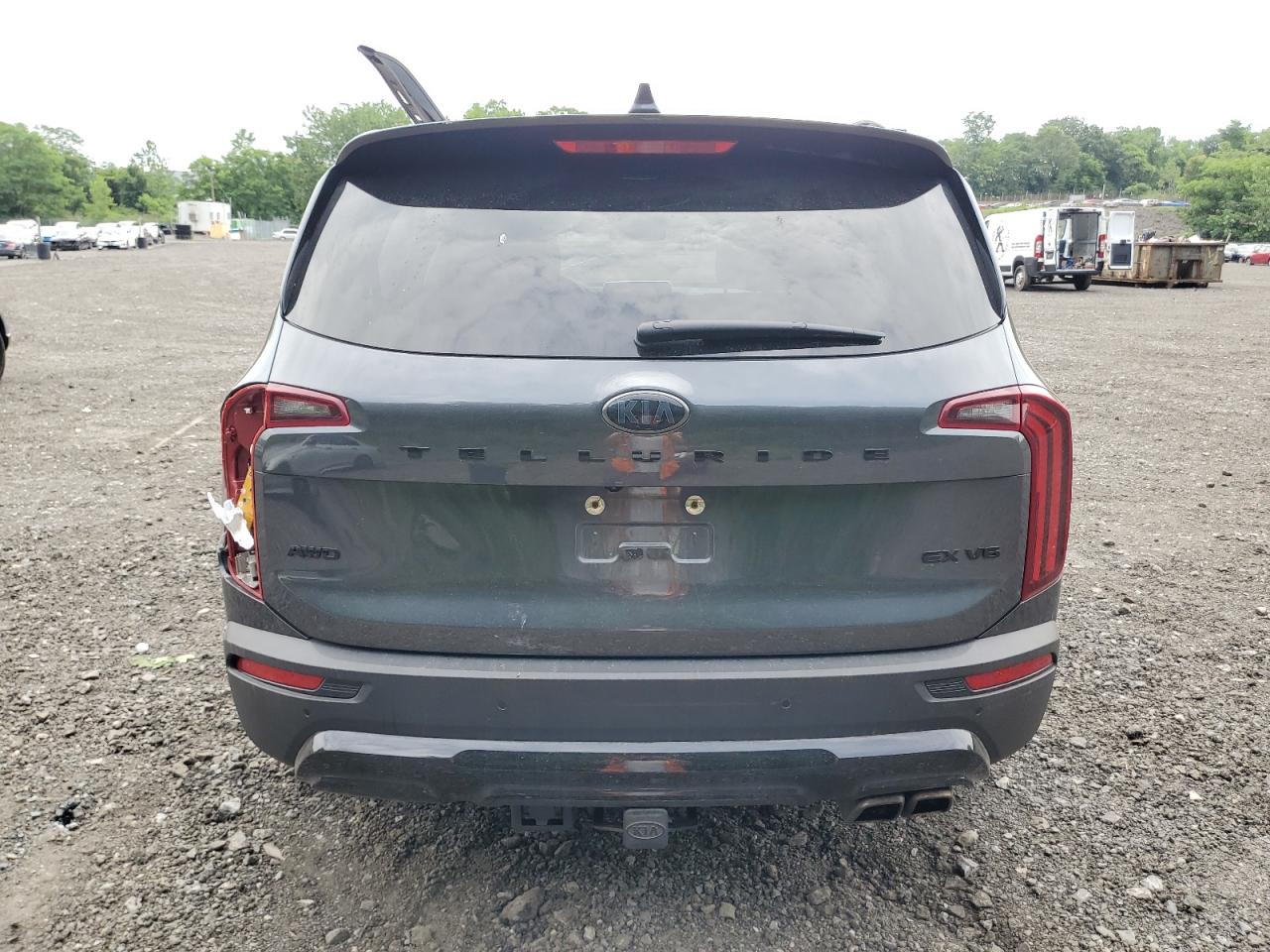 2021 Kia Telluride Ex VIN: 5XYP3DHCXMG113871 Lot: 64113405