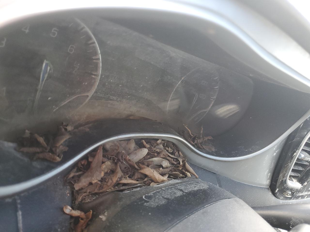 2020 Chrysler Pacifica Touring L Plus VIN: 2C4RC1EG3LR121173 Lot: 66155725